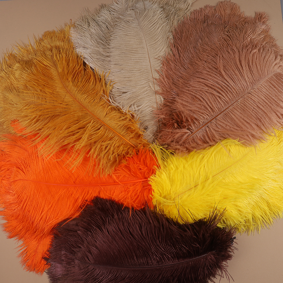 10pcs Ostrich Feathers for Cra - Feather Trim Marabou reseña y precio