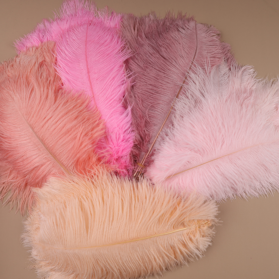 10pcs Ostrich Feathers for Cra - Feather Trim Marabou reseña y precio