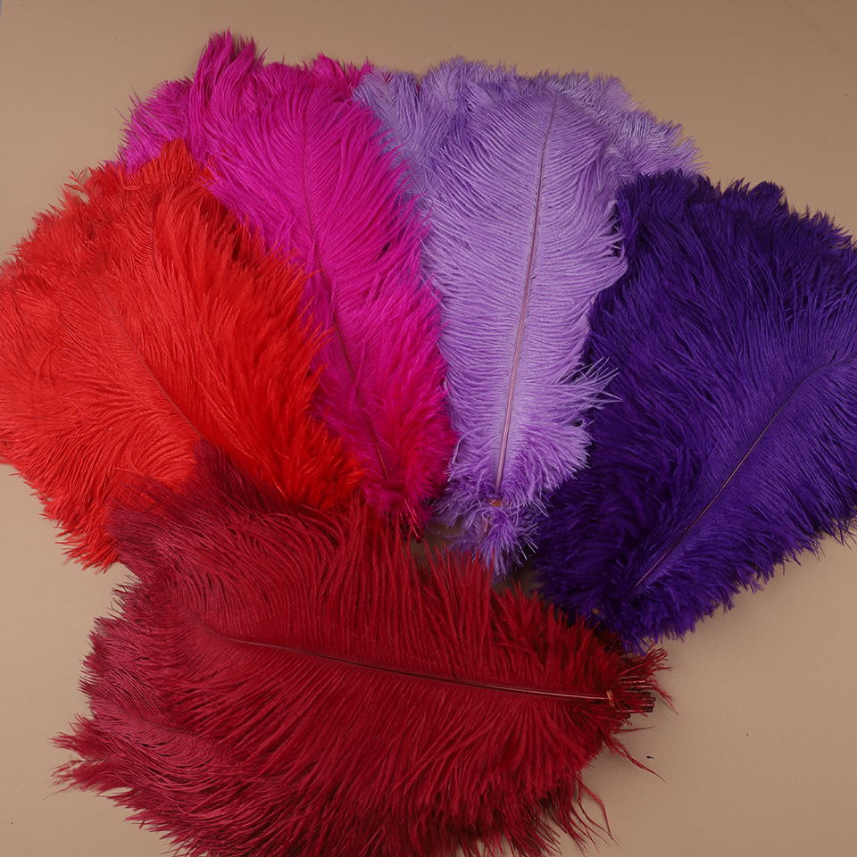 10pcs Ostrich Feathers for Cra - Feather Trim Marabou reseña y precio