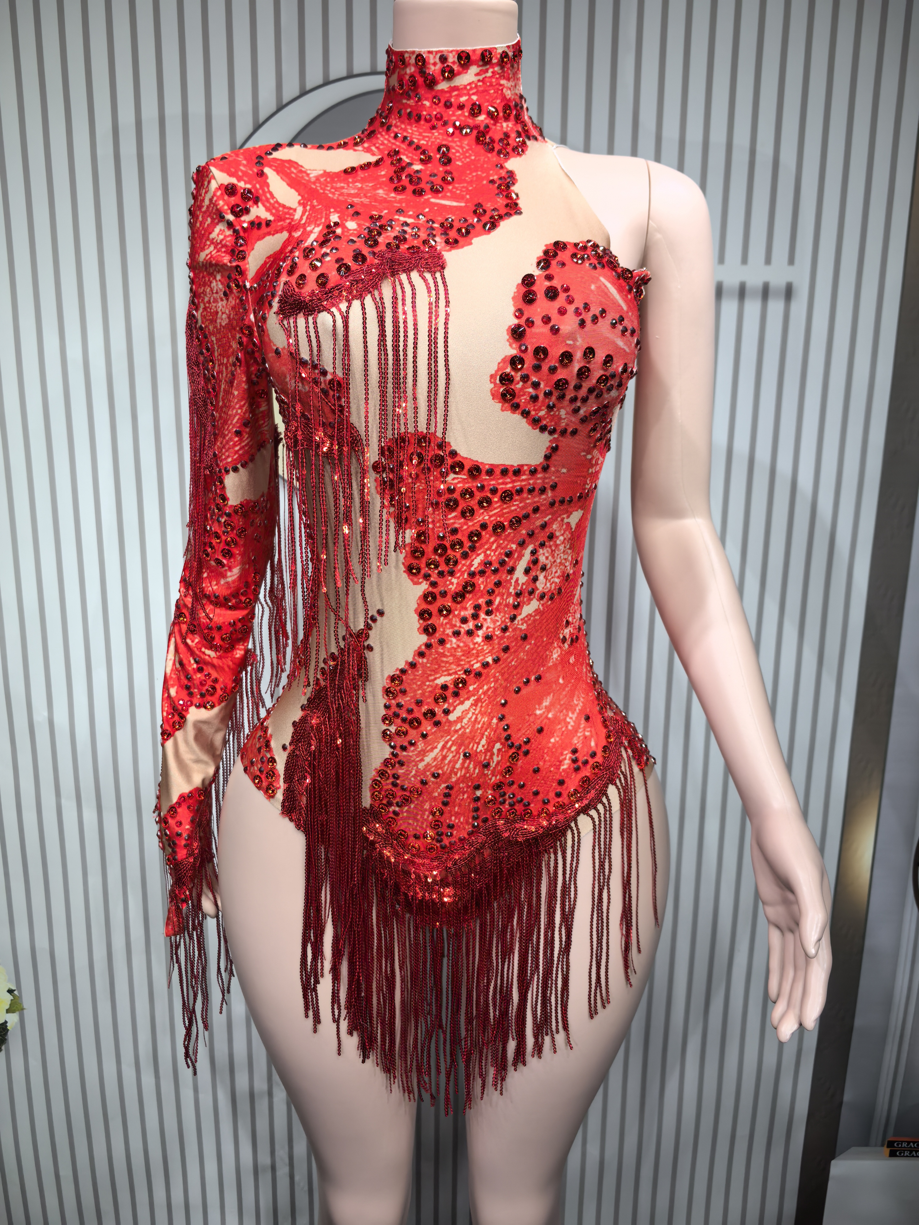 Sexy Skinny Leotard Singer Dan - Rhinestone Banding Trim reseña y precio
