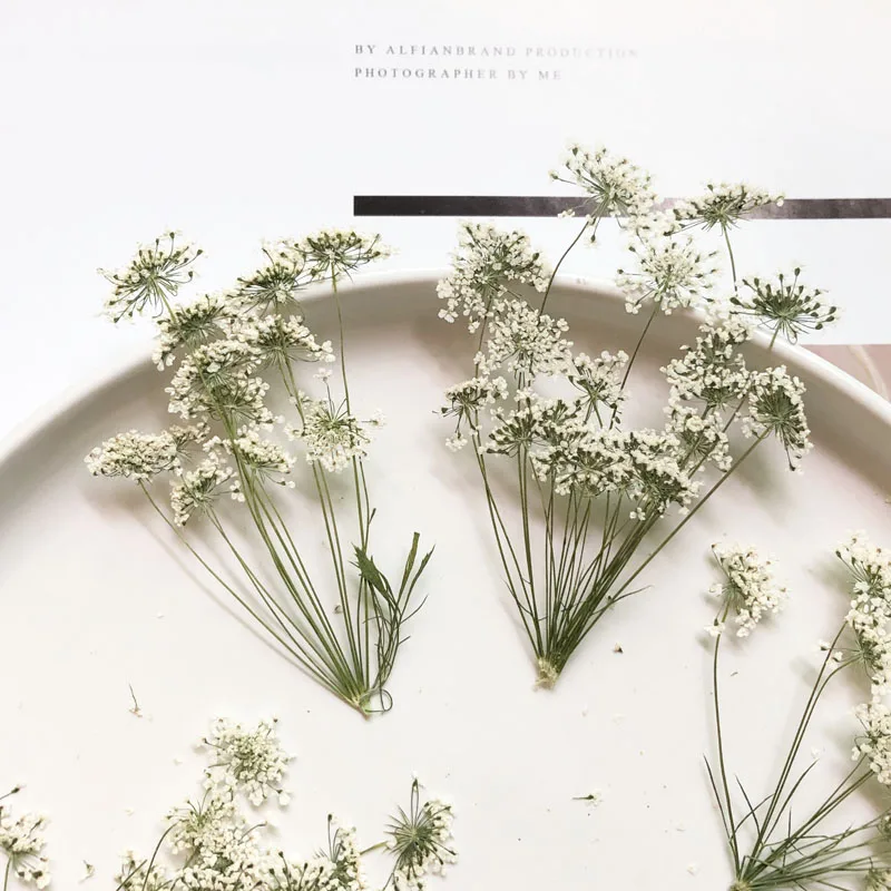 5-7cm/12pcs,Snow Tiny Flowers  - Craft Embellishment reseña y precio