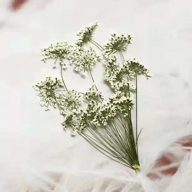 5-7cm/12pcs,Snow Tiny Flowers  - Craft Embellishment reseña y precio