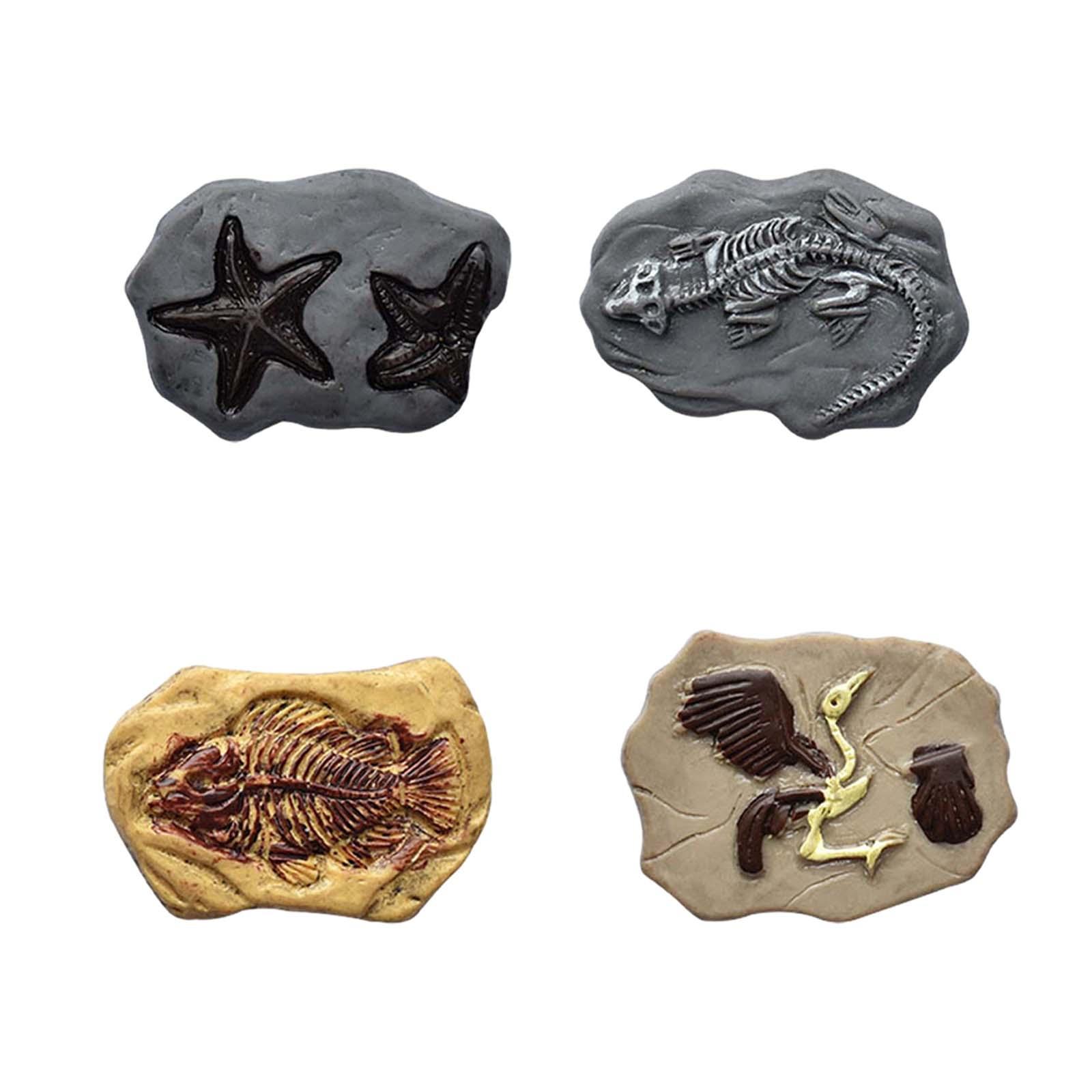 Miniature Fossil Realistic Mod - Embellish Craft reseña y precio
