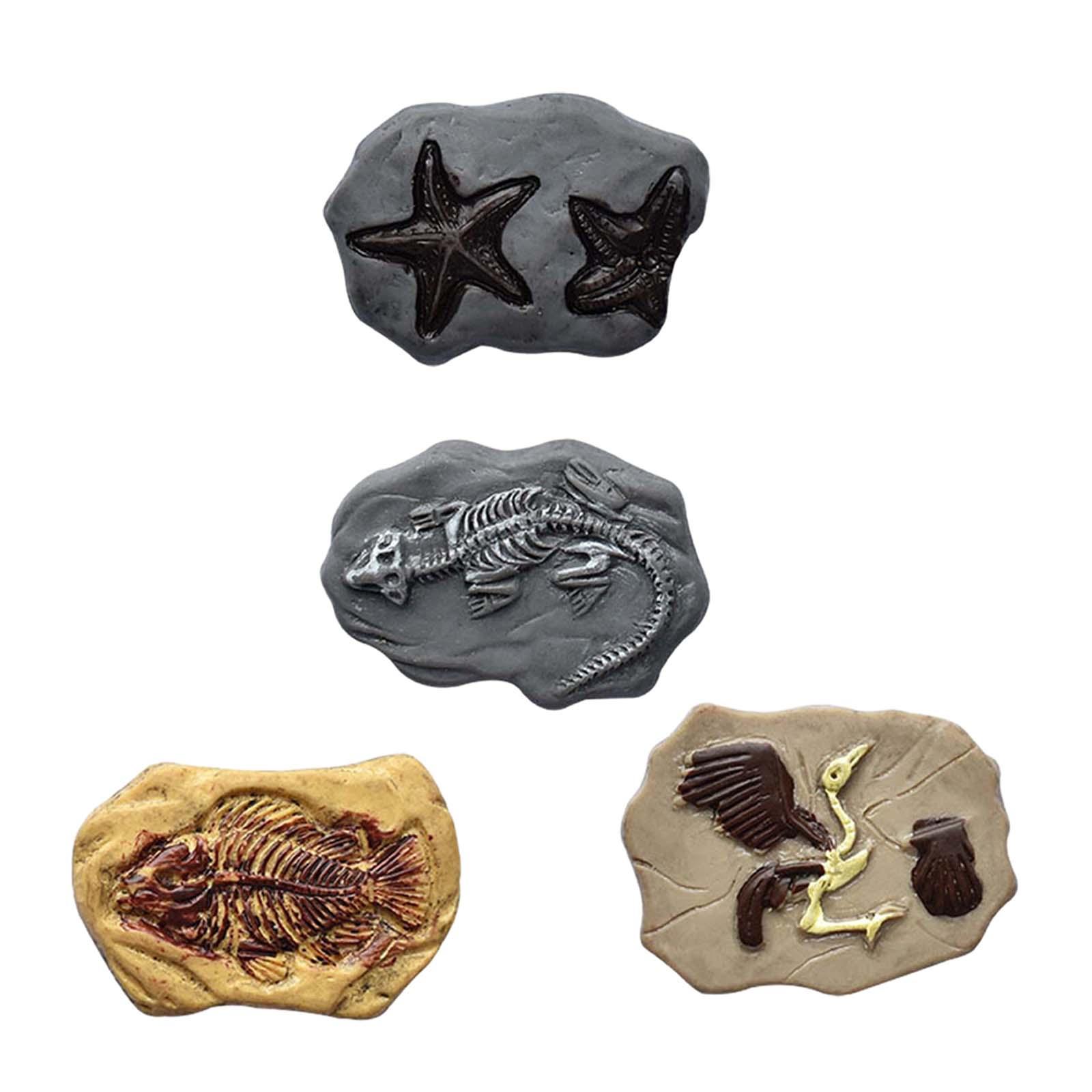 Miniature Fossil Realistic Mod - Embellish Craft reseña y precio